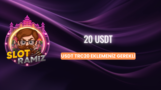 20 USDT Logo